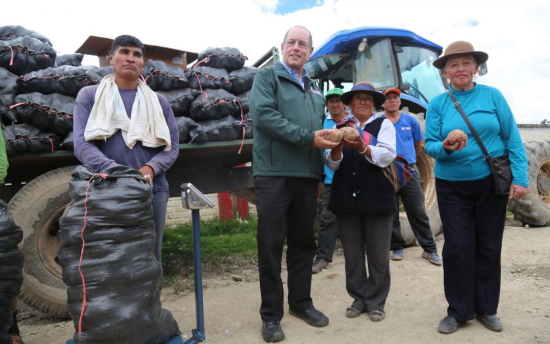 MINAGRI compra 41 toneladas de papa de productores del Valle del Mantaro