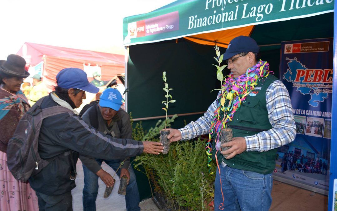 Entregan 500 plantones de árboles a centro poblado de Puno