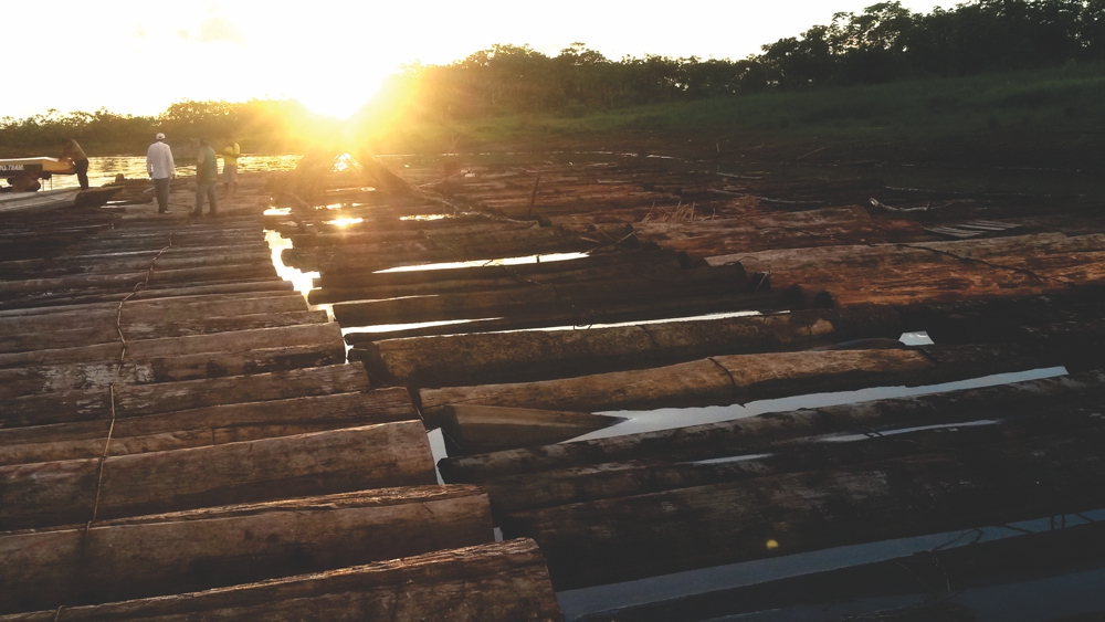 Comunidades Nativas de Loreto obtienen ganancias por la comercialización legal de madera