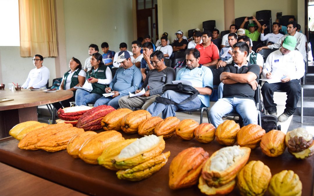 Capacitan en producción de cacao a especialistas del VRAEM