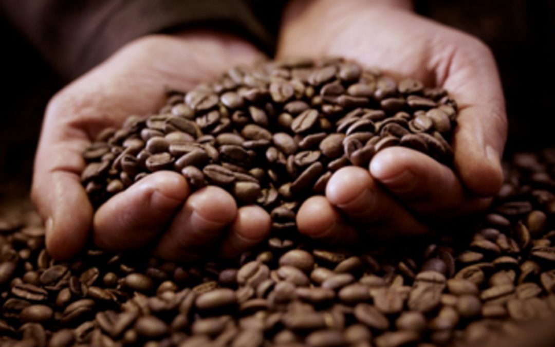 MINAGRI capacita a productores de café en la región San Martín