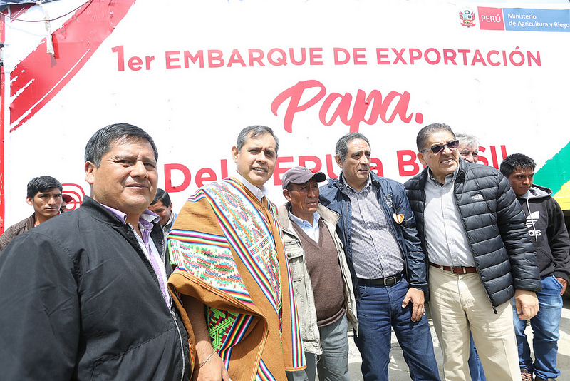 Productores de Apurímac y Ayacucho concretan primera venta de 80 toneladas de papa al Brasil
