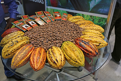 Productores beneficiarios del MINAGRI expondrán en el Salón del Cacao y Chocolate 2018