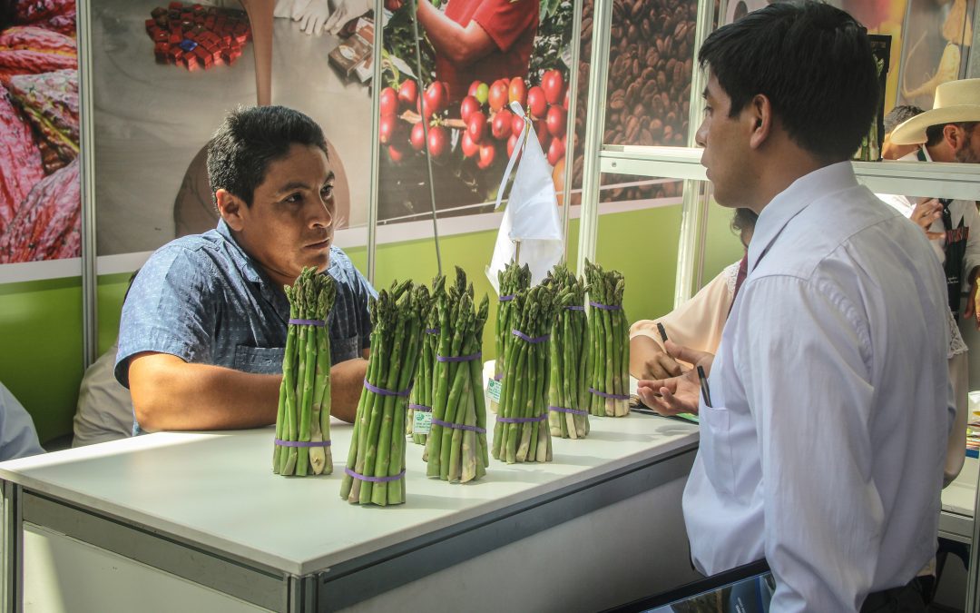 Espárrago y banano orgánico estarán presentes en la Primera Edición de Expo Perú Norte 2018
