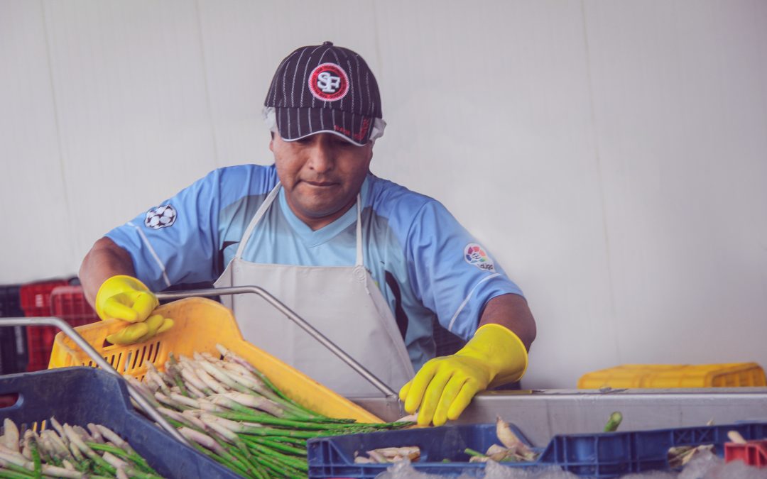 Medios noviembre 2018