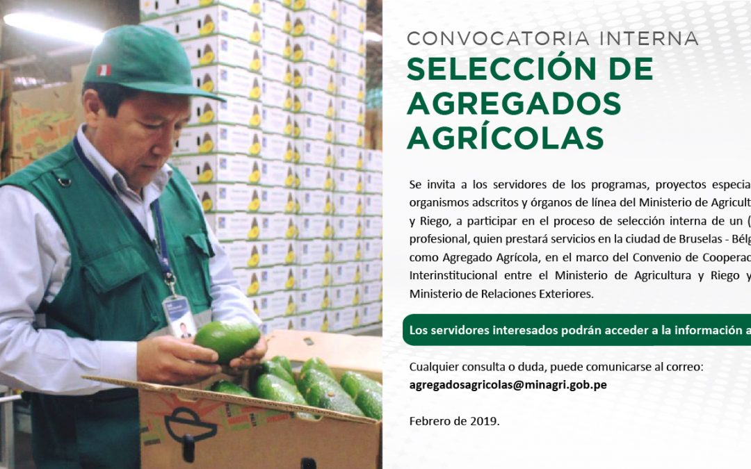 Convocatoria Interna: Selección de Agregados Agricolas