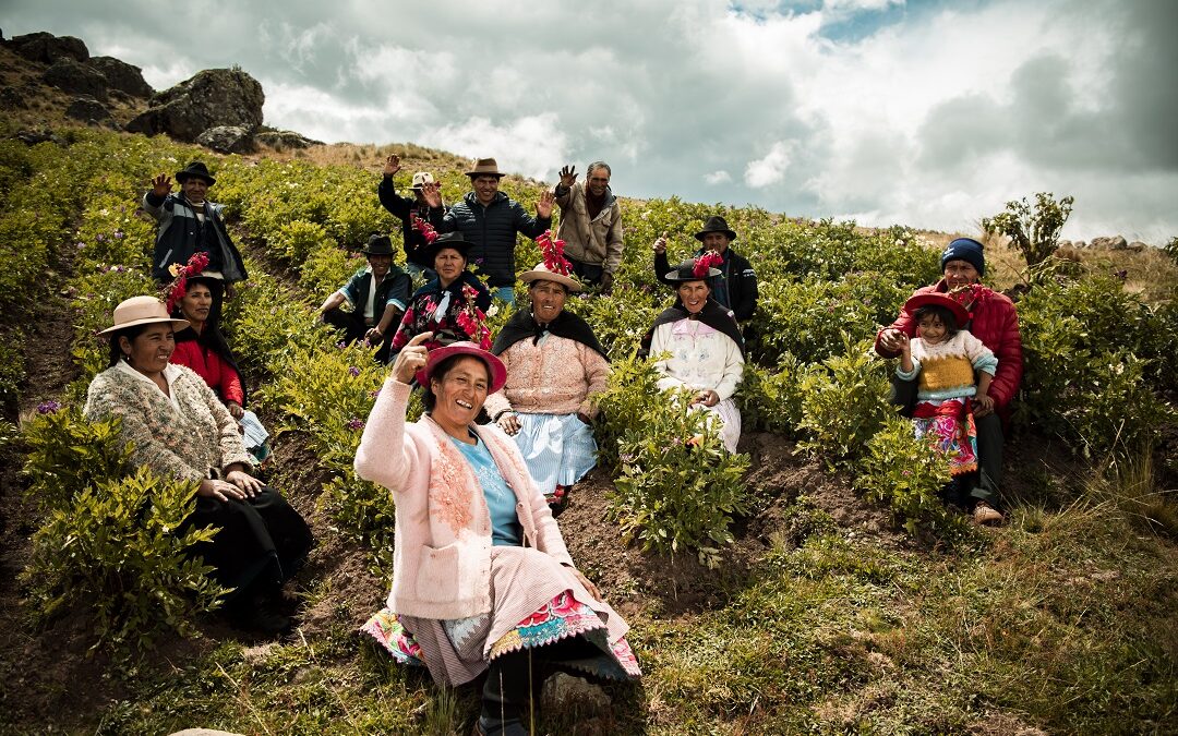 Día Nacional de la Papa: chips de papa nativa de Huancavelica triunfan en Europa